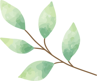 木の枝と葉っぱ